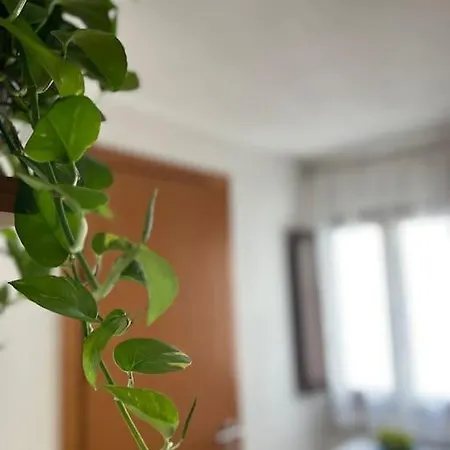 Palazzo Giardinello Apartamento *